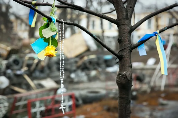 Kiev euromaydan. ölü euromaydan anısına.