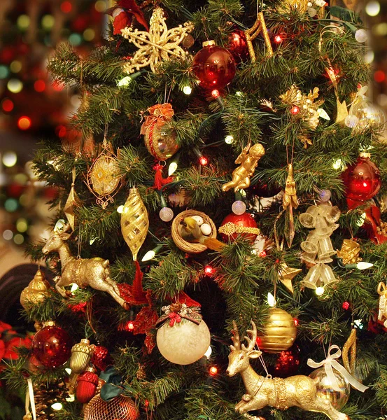 Noel Kutlamaları dekorasyon
