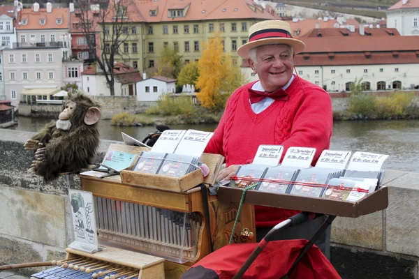 Gatan organ grinder — Stockfoto