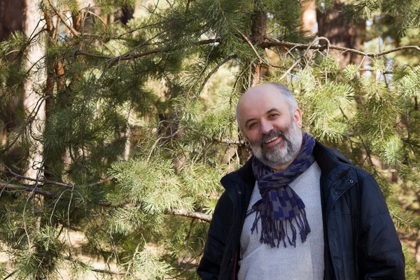 Um homem careca de meia-idade em uma floresta de primavera — Fotografia de Stock