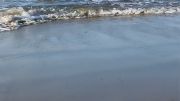 En una playa de arena una pequeña ola rueda — Vídeos de Stock