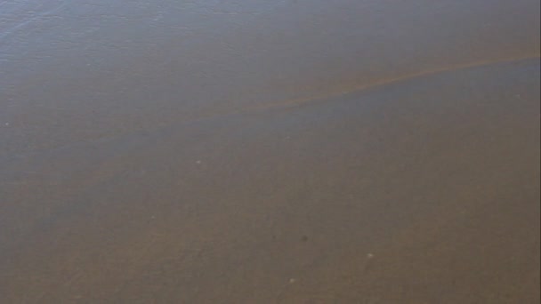 Su una spiaggia di sabbia una piccola onda rotola — Video Stock