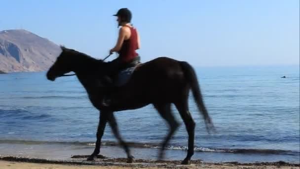 Cavaleiros não identificados em cavalos na praia — Vídeo de Stock
