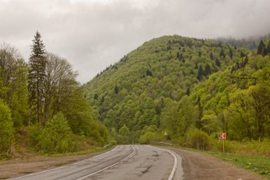 Çöl yolu üzerinde Karpatlar