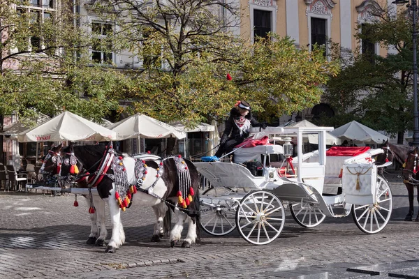 克拉科夫 波特兰 2021年11月5日 骑马拉车虽然很贵 但在克拉科夫市中心很受欢迎 — 图库照片
