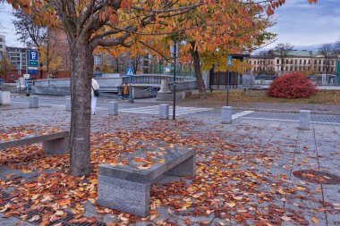Sonbahar yapraklarıyla kaplı taş bir bank. Krakow, Napolyon 'un ordu meydanı.