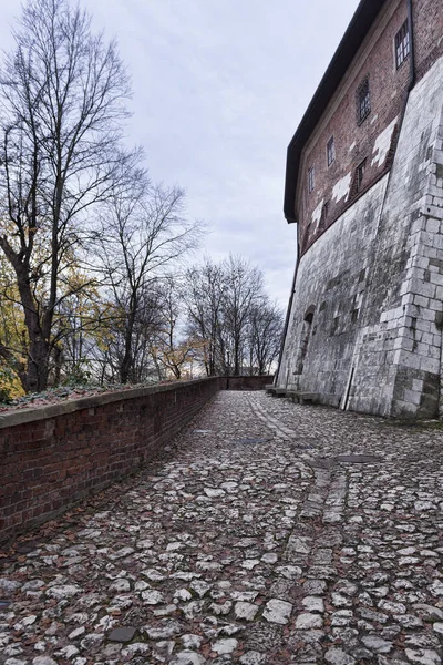 Κατά Μήκος Των Τοίχων Του Κάστρου Wawel Στην Κρακοβία Αρχές — Φωτογραφία Αρχείου