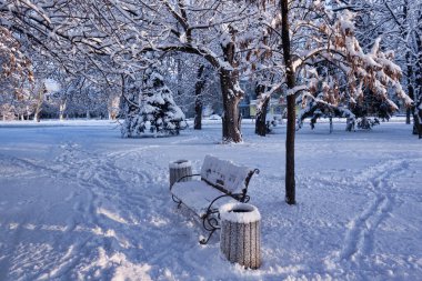 Kış parkında. Etrafındaki her şey etkileyici bir kar tabakasıyla kaplı. Akşamları güneş ışığı