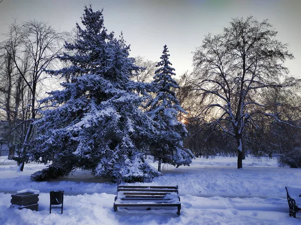 Winter Park Everything Covered Impressive Layer Snow Solar Lighting Evening — Stock Photo, Image