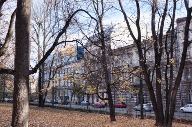 KRAKOW, POLAND - 5 Kasım 2021 Krakow 'daki eski kasabanın sokaklarında sabah. Krakow Bitkilerinden Görünüm