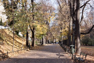 Krakow bitkileri. Krakow Bulvarı 'ndaki sokak. Günaydın, Kasım başı.