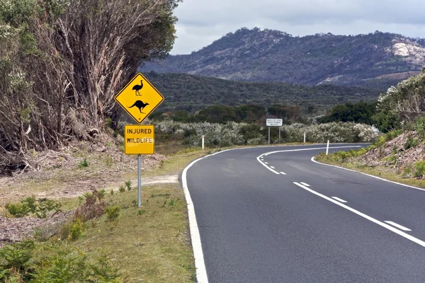 Viaje por carretera — Foto de Stock