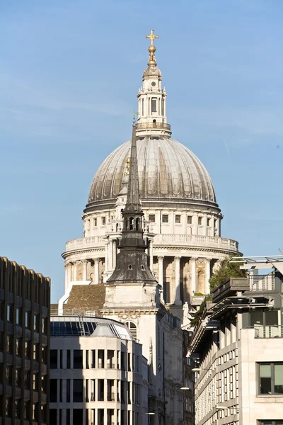 London St Paul — Stock Photo, Image