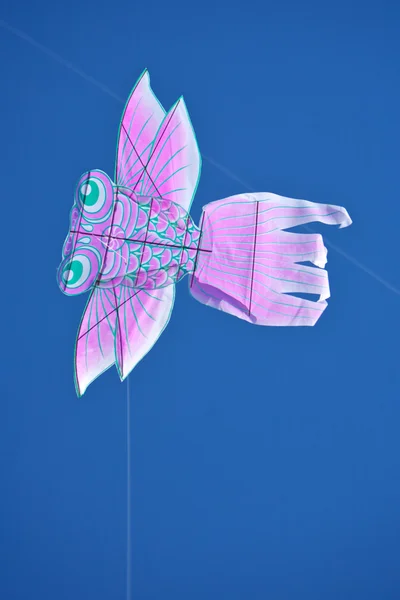 Kite flying — Stockfoto