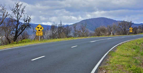 Road fire area, Australia — Stock Photo, Image