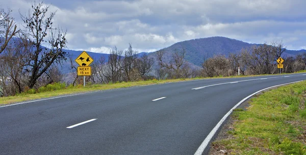 Área de incendios en carretera, Australia —  Fotos de Stock