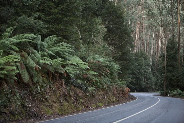 Curved road — Stock Photo, Image