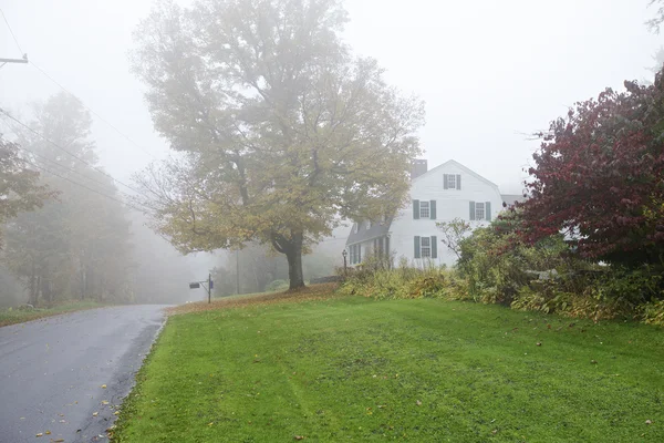 Mlhavé ráno, podzimní listí — Stock fotografie