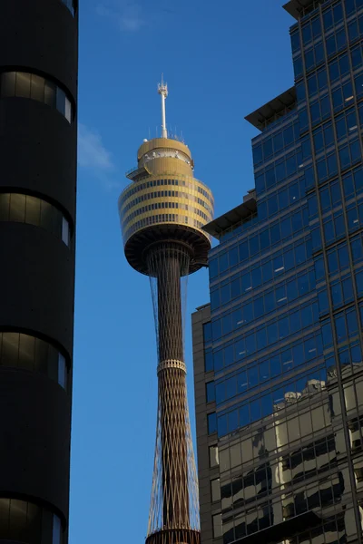 Sydney tower in de stad — Stockfoto