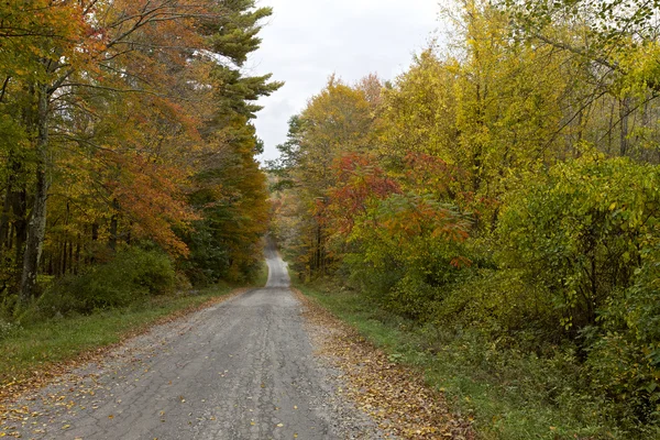 Autunno, New England — Foto Stock