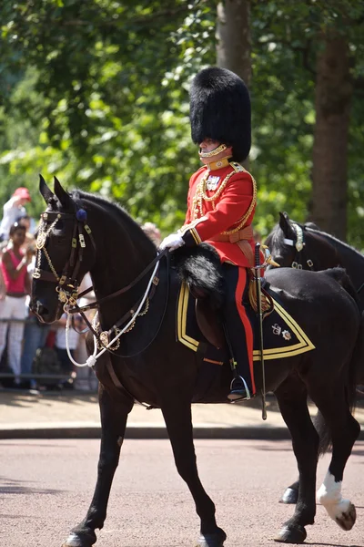 色、ロンドンの trooping — ストック写真