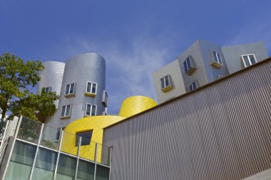 Kampüs, boston