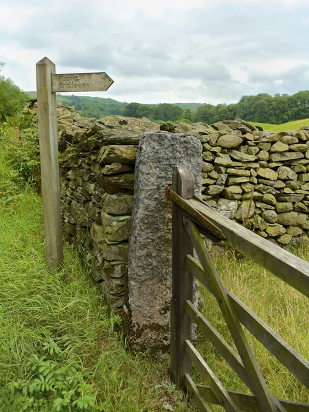 Campo rural — Fotografia de Stock