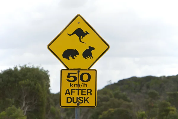 Австралия, дорожный знак — стоковое фото