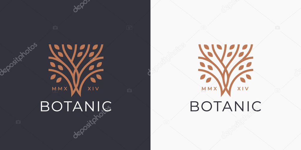 Tree of life logo icon