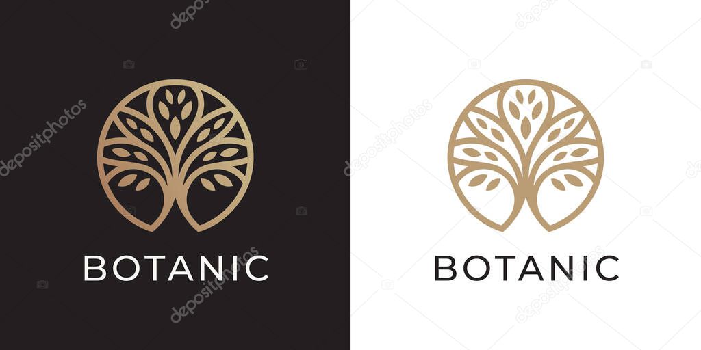 Tree of Life logo line icon. Abstract nature branch leaves symbol. Garden plant botanical eco sign. Vector illustration.