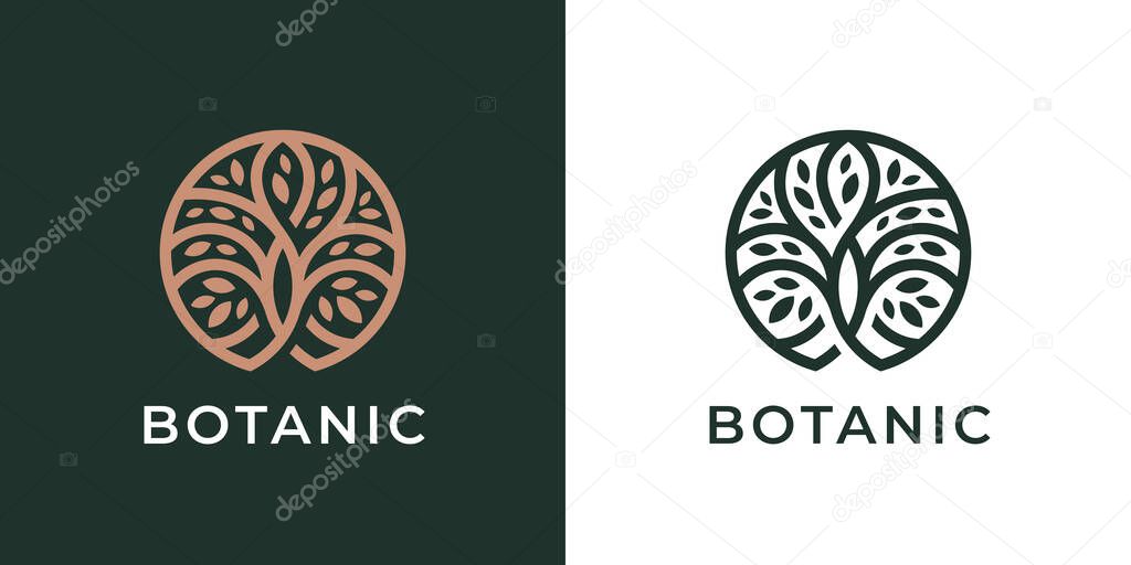 Circle Tree of Life logo icon. Abstract nature branch with leaves business sign. Round garden plant natural line symbol. Vector illustration.