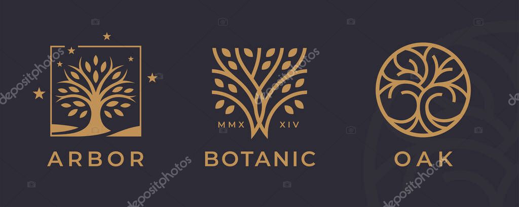 Tree logo icon set design. Garden plant natural symbols template. Tree of life branch with leaves business sign collection. Vector illustration.
