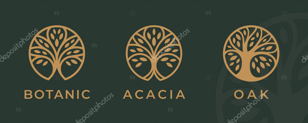 Tree logo icon set design. Garden plant natural symbols template. Tree of life branch with leaves business sign collection. Vector illustration.