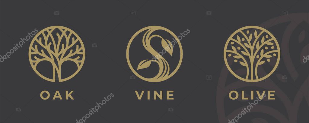 Abstract tree logo icon set. Elegant garden nature symbol collection. Branch with leaves sign. Vector illustration.