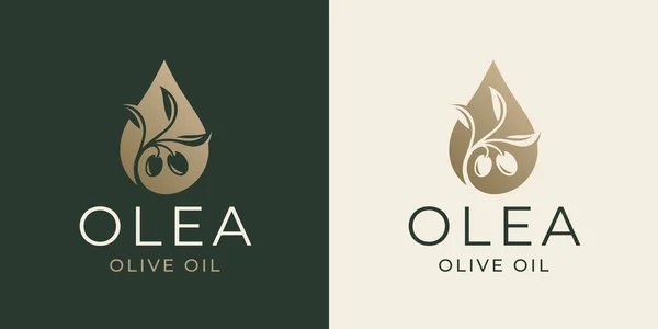 额外的初榨橄榄油标志图标 橄榄油滴与橄榄和叶子的符号 矢量说明 — 图库矢量图片