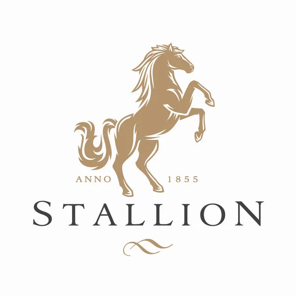 Horse Logo Stallion Emblem Wild Mustang Rearing Icon Luxury Equine — Vettoriale Stock