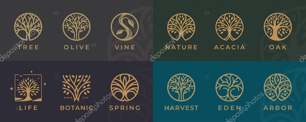 Abstract Tree of life logo icons set. Botanic plant nature symbols. Tree branch with leaves signs. Natural design elements emblem collection. Vector illustration.