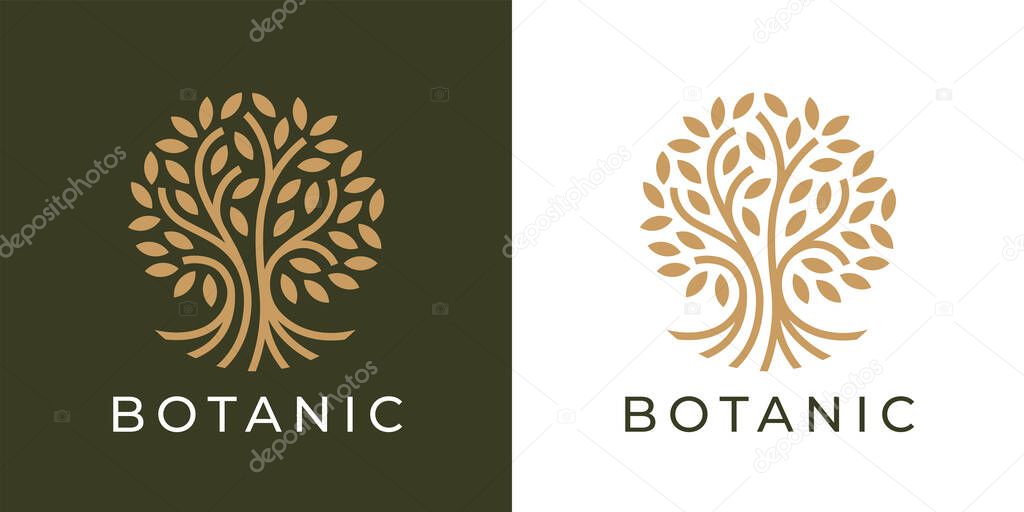 Botanic tree of life logo. Natural product plant icon. Botanical wellness spa sign. Luxury floral boutique nature emblem. Premium oak tree symbol. Vector illustration.