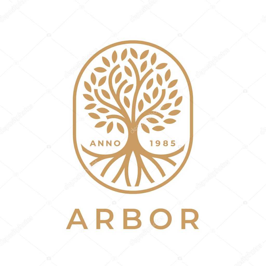 Arbor tree of life logo. Natural product plant growth icon. Botanical wellness spa sign. Eco nature garden emblem. Premium oak tree roots symbol. Vector illustration.