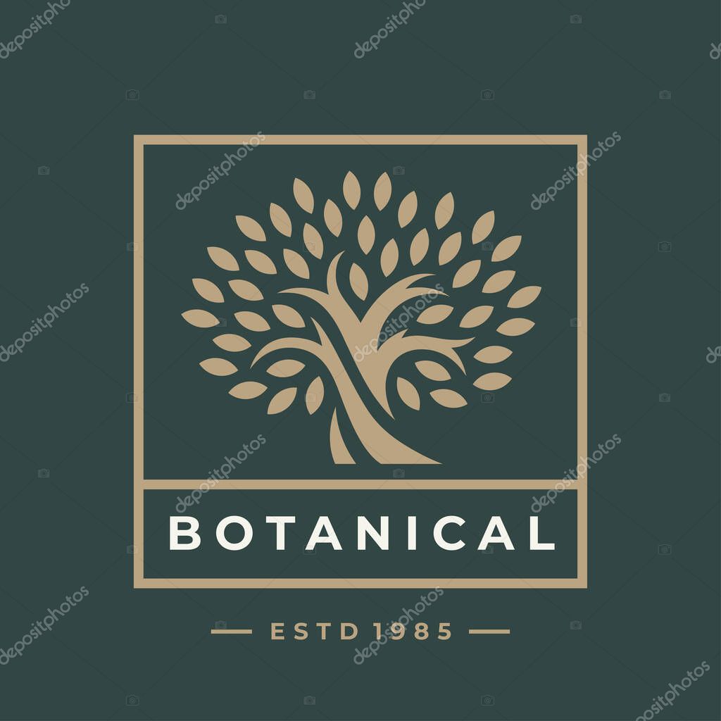 Botanical tree logo. Arbor day icon. Tree of life sign. Organic nature plant emblem. Oak tree symbol. Vector illustration.