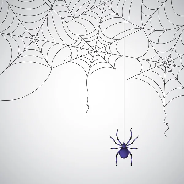 Spider Web — Stock Vector