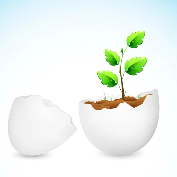 Sapling crescendo em Egg Shell — Vetor de Stock