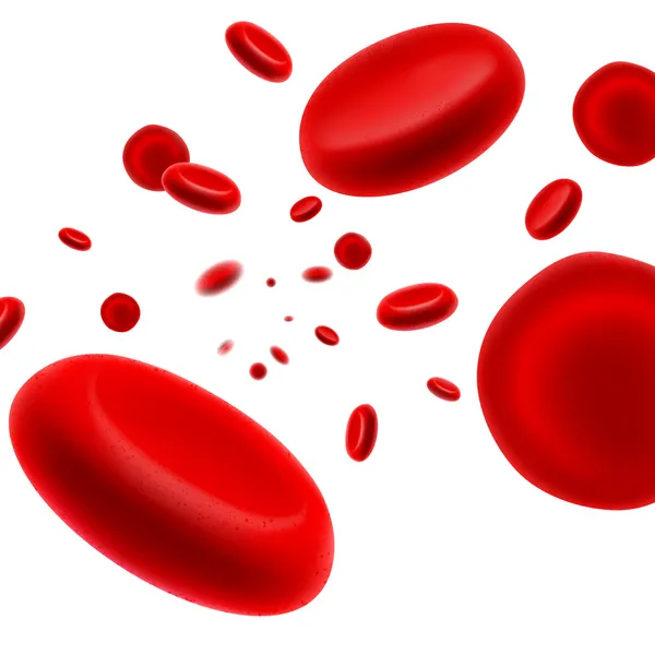 Cellula rossa del sangue che scorre — Vettoriale Stock