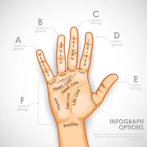 Handlijnkunde infographics — Stockvector