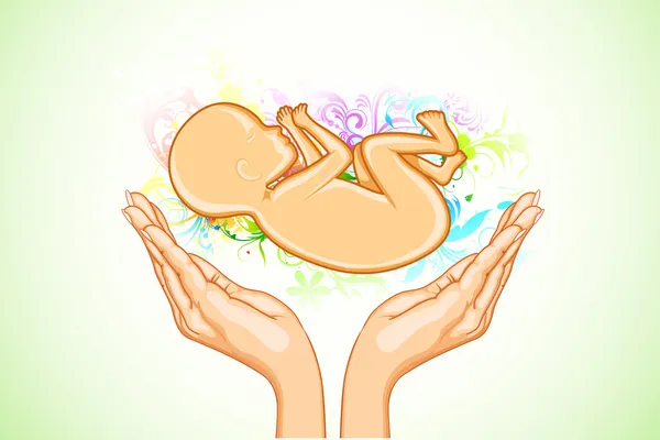 Care for Female Fetus — Stock Vector