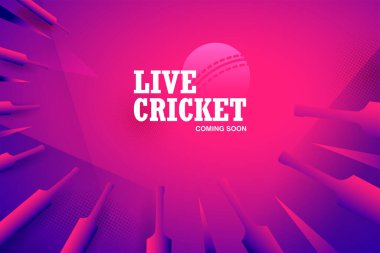 illustration of bat and ball on cricket championship sports background