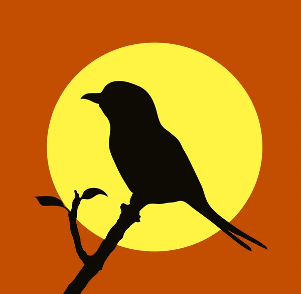Uccello su un ramo — Vettoriale Stock