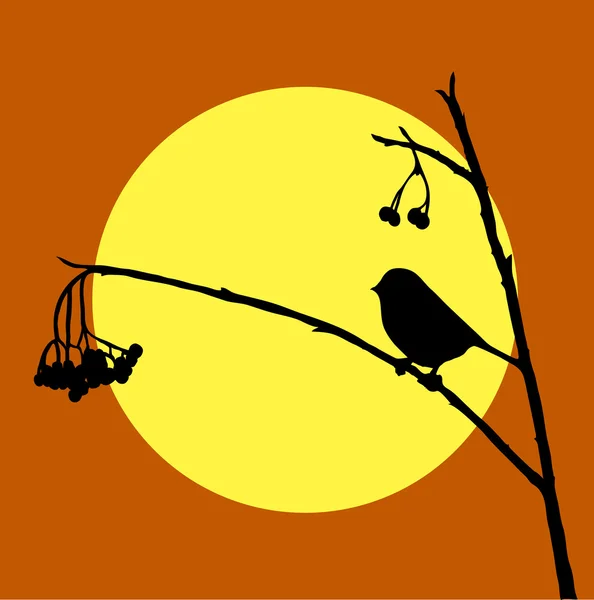 Pájaro en una rama — Vector de stock