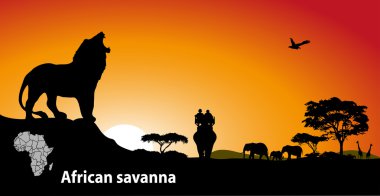Afrika savana