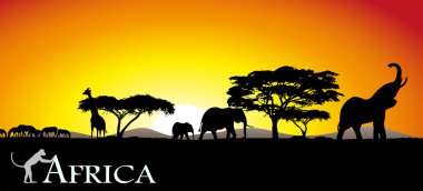 Afrika savana